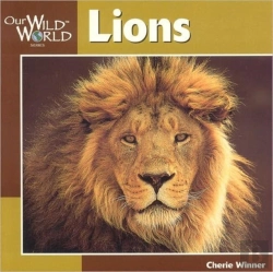 Bertrand.pt - Lions
