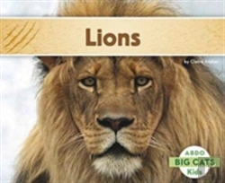 Bertrand.pt - Lions