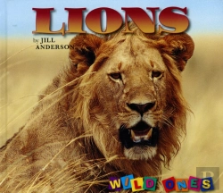 Bertrand.pt - Lions