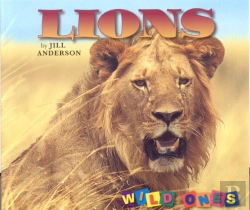 Bertrand.pt - Lions