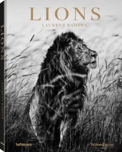 Bertrand.pt - Lions