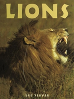 Bertrand.pt - Lions