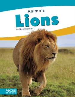 Bertrand.pt - Lions