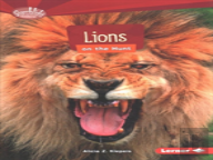 Lions On The Hunt