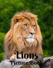 Lions Picture Book