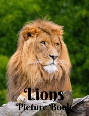 Lions Picture Book