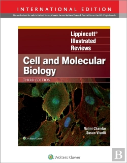 Bertrand.pt - Lippincott Illustrated Reviews: Cell And Molecular Biology