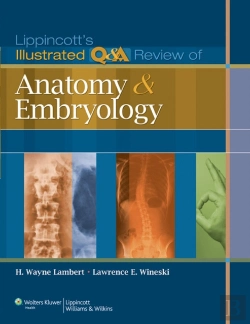 Bertrand.pt - Lippincott'S Illustrated Q&A Review Of Anatomy And Embryology