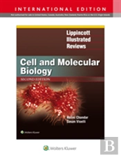 Lir Cell Molecular Biolog 2e Int Ed