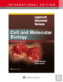 Bertrand.pt - Lir Cell Molecular Biolog 2e Int Ed