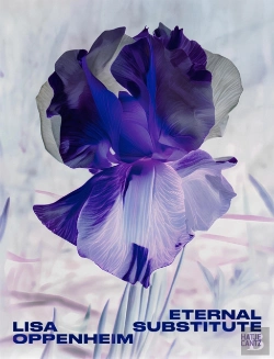 Bertrand.pt - Lisa Oppenheim: The Eternal Substitute