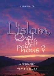 L'Islam, Quel Défi Pour Nous ?