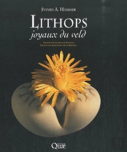 Bertrand.pt - Lithops, Joyaux Du Veld