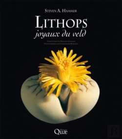 Bertrand.pt - Lithops