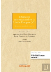 Litigacion En La Union Europea Vi