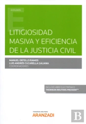 Litigiosidad Masiva Y Eficiencia De La Justicia Civil (Papel + E-Book)