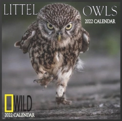 Bertrand.pt - Littel Owls Calendar 2022