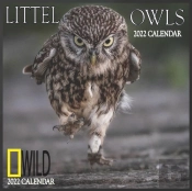 Littel Owls Calendar 2022