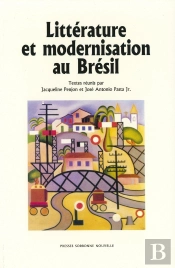 Littérature Et Modernisation Au Brésil