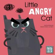 Little Angry Cat