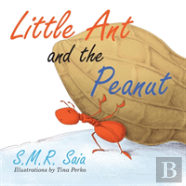 Little Ant And The Peanut