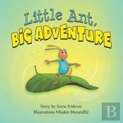 Little Ant, Big Adventure