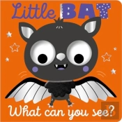 Little Bat What Can You See?