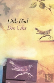 Little Bird