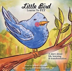 Bertrand.pt - Little Bird Learns To Fly
