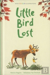 Little Bird Lost