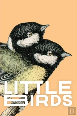 Bertrand.pt - Little Birds