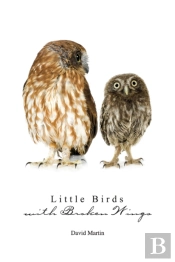 Little Birds With Broken Wings