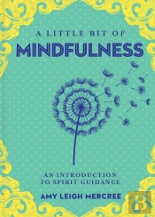 Little Bit Of Mindfulness, A