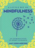 Little Bit Of Mindfulness, A
