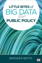 Little Bites Of Big Data For Public Policy