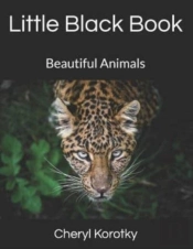 Little Black Book: Beautiful Animals
