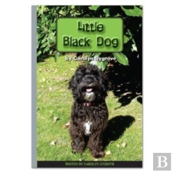 Bertrand.pt - Little Black Dog