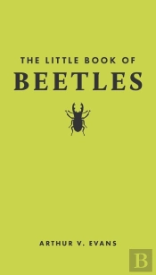 Little Book Of Beetles
