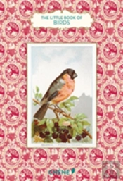 Little Book Of Birds