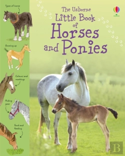 Bertrand.pt - Little Book Of Horses And Ponies