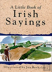 Little Book Of Irish Sayings