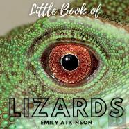 Little Book Of Lizards