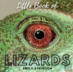 Bertrand.pt - Little Book Of Lizards