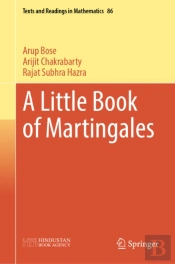Little Book Of Martingales