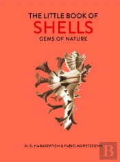 Little Book Of Shells