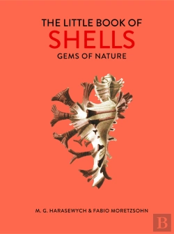Bertrand.pt - Little Book Of Shells