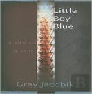 Little Boy Blue - A Memoir In Verse