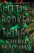 Little Broken Things
