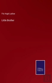 Little Brother