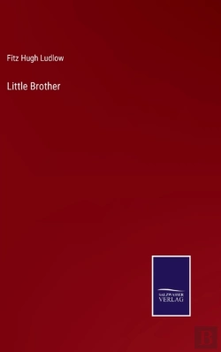 Bertrand.pt - Little Brother